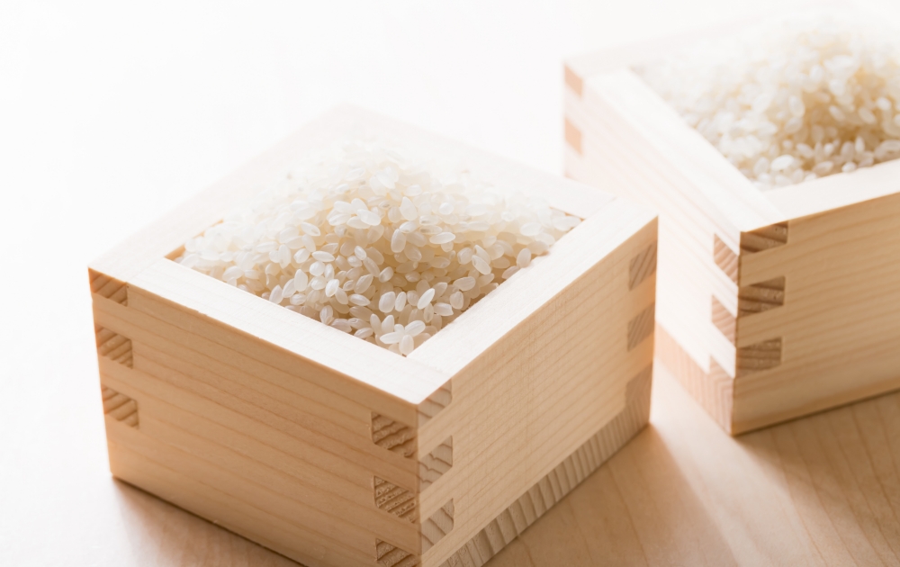 雪若丸